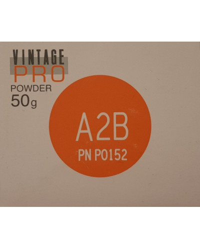 P0152 VINTAGE PRO BODY A2B 50G