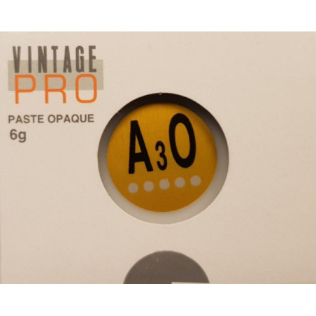 P0004 VINTAGE PRO PASTE 6G A3O OPAQUE