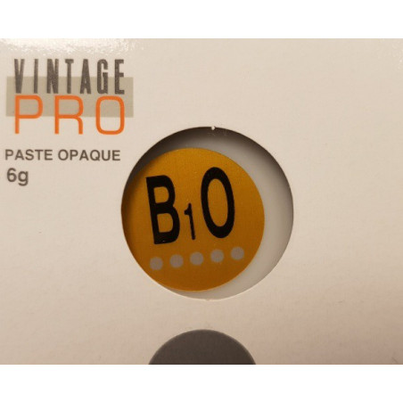 P0007 VINTAGE PRO PASTE 6G B1O OPAQUE