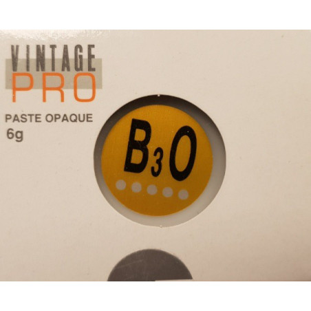 P0009 VINTAGE PRO PASTE 6G B3O OPAQUE