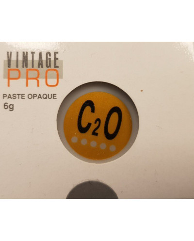P0012 VINTAGE PRO PASTE 6G C2O OPAQUE
