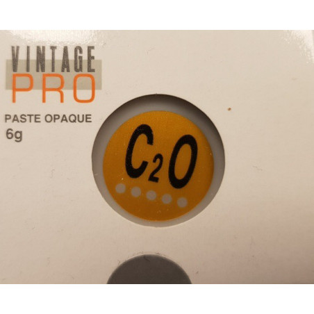 P0012 VINTAGE PRO PASTE 6G C2O OPAQUE