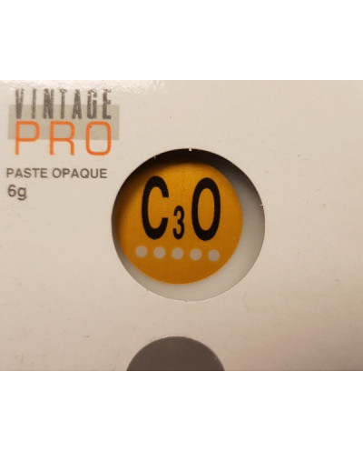 P0013 VINTAGE PRO PASTE 6G C3O OPAQUE