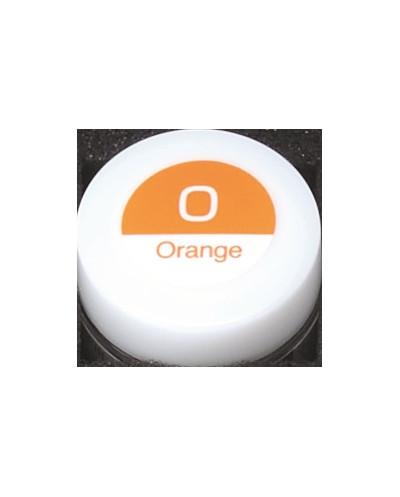 6518 VINTAGE ART 3G ORANGE