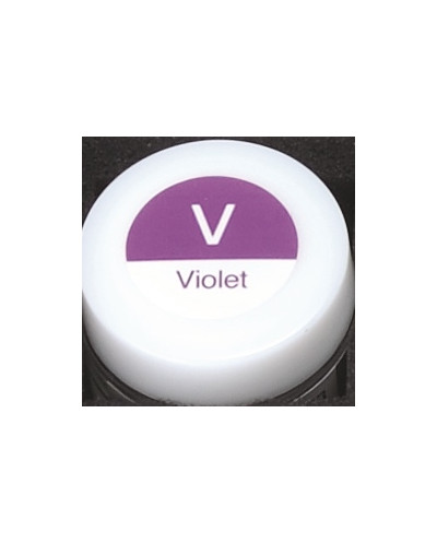 6519 VINTAGE ART 3G VIOLET
