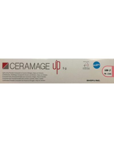 2398 CERAMAGE UP GUM-LP 5G