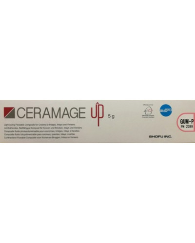 2399 CERAMAGE UP GUM-P 5G