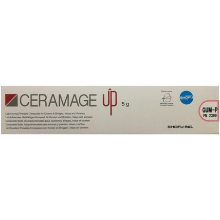 2399 CERAMAGE UP GUM-P 5G