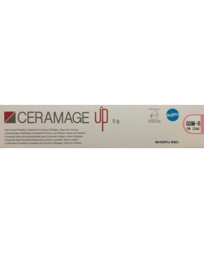 2396 CERAMAGE UP GUM-R 5G