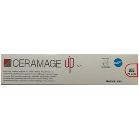 2343 CERAMAGE UP BODY B3B 5G