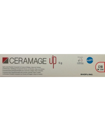 2345 CERAMAGE UP BODY C1B 5G