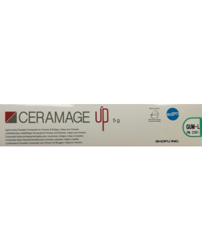 2391 CERAMAGE UP GUM-L 5G