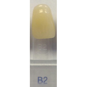 kolor B2